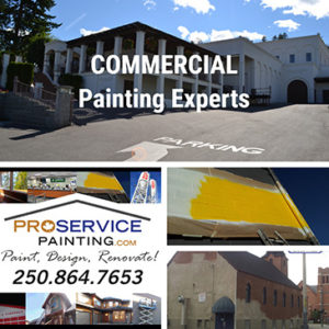 commercial painting companies